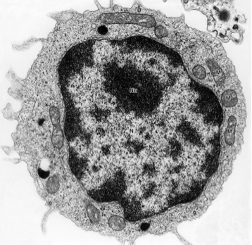 physical biology of the cell phillips solution manual.rar