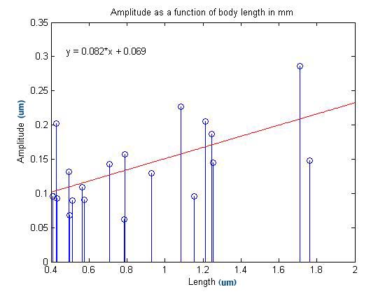 Correlation Between Amplitude of Swim Pattern and Worm Length470