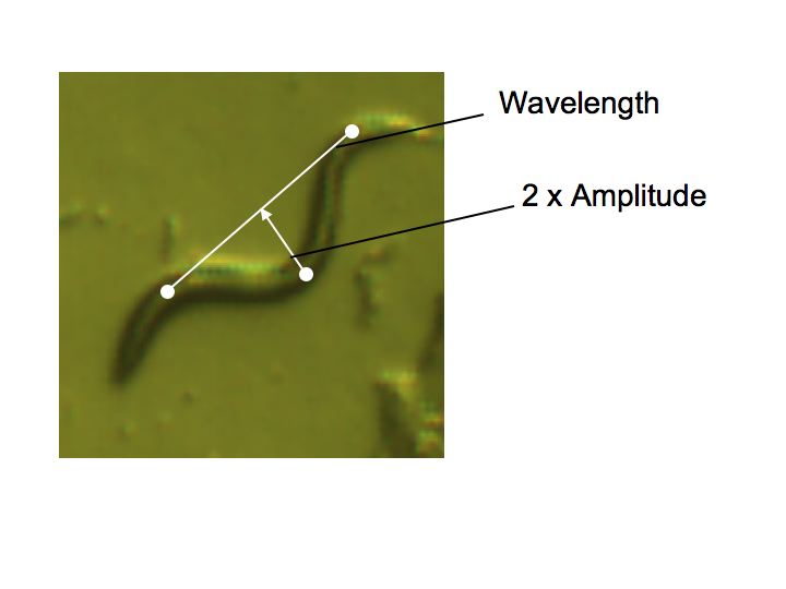 Image illustrating wavelength and amplitude calculations